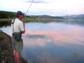 Fly Fishing for Georgetown Lake Rainbow