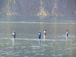 Banks Fly Fishers