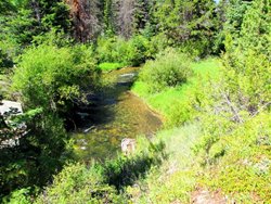 Anaconda Warm Springs Creek